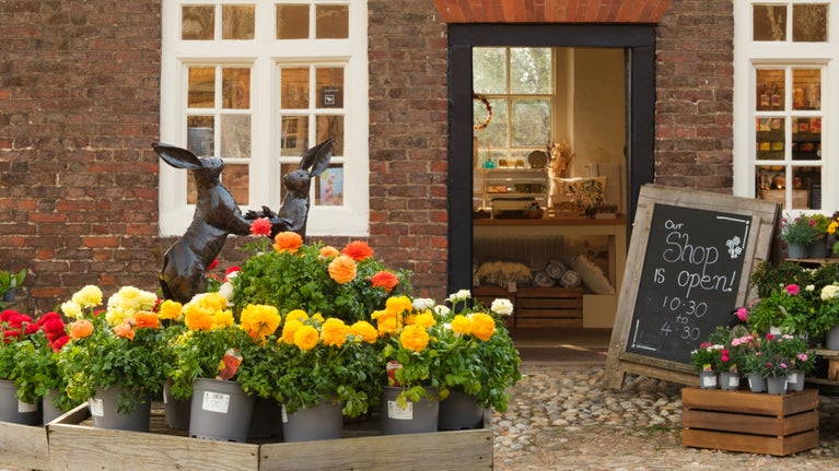 A view of the shop door with plants in the foreground at Ham House and Garden, London